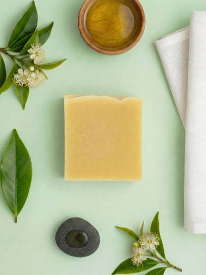 Tallow Shampoo Bar